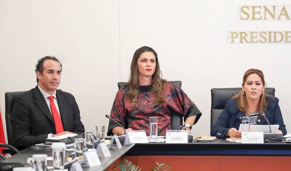 Solicita Senado comparecencia de Ana Guevara