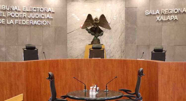 Sancionará TEPJF a 8 influencers por campaña a favor del PVEM