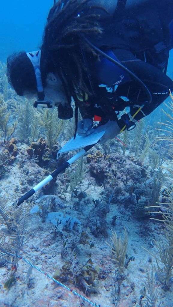Participa IBANQROO en monitoreo de arrecifes de Mahahual y Parque Nacional de Xcalak