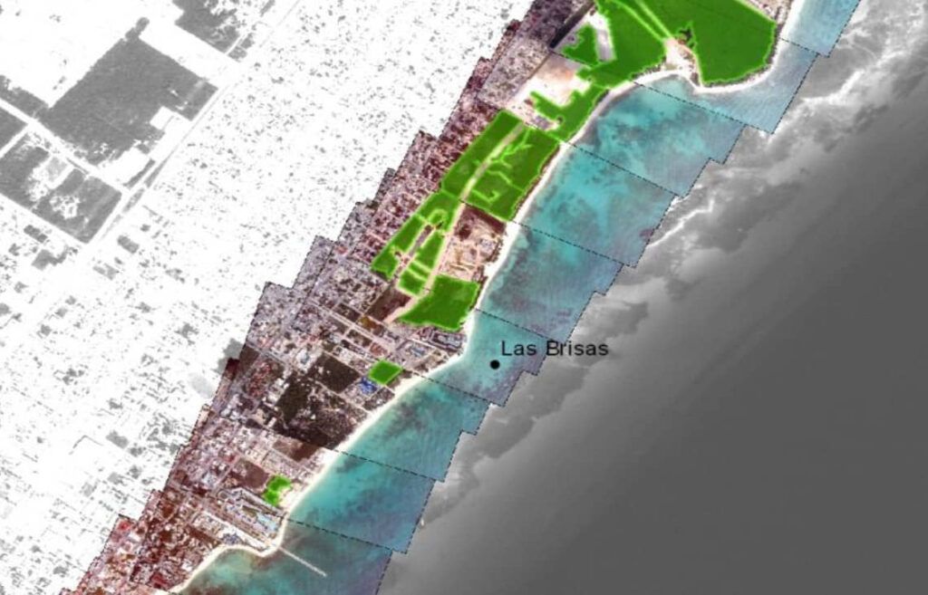 Manglar de Cocobay es monitoreado desde 2011