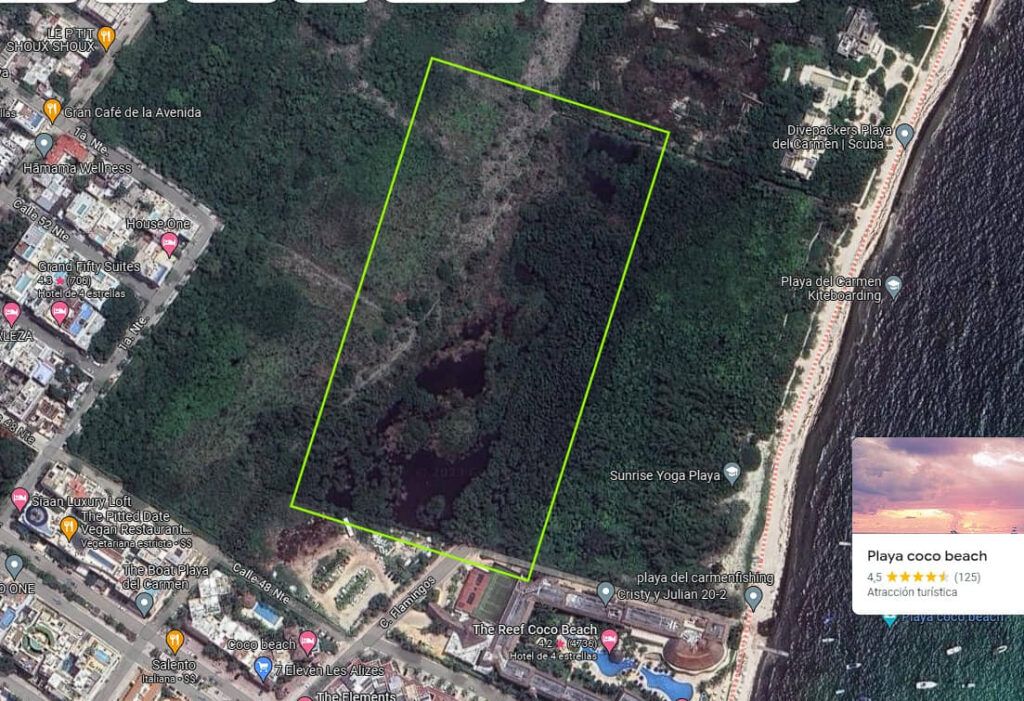 Manglar de Cocobay es monitoreado desde 2011