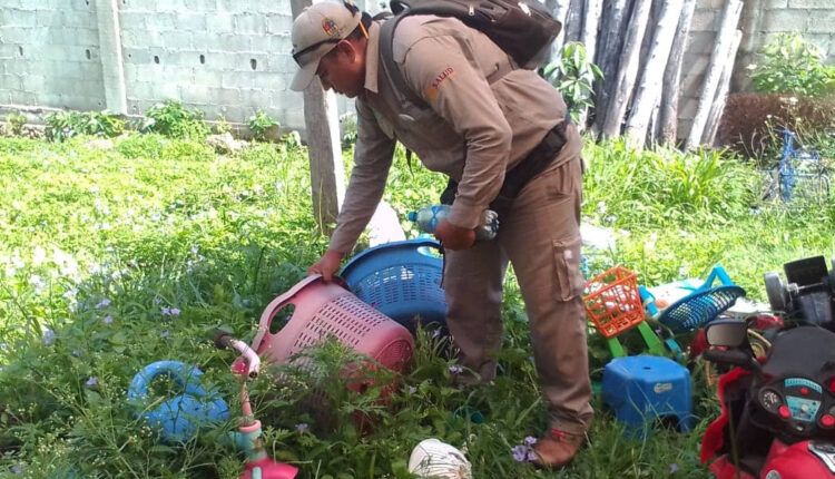 Continúan acciones para combatir el dengue, zika y el Chikungunya