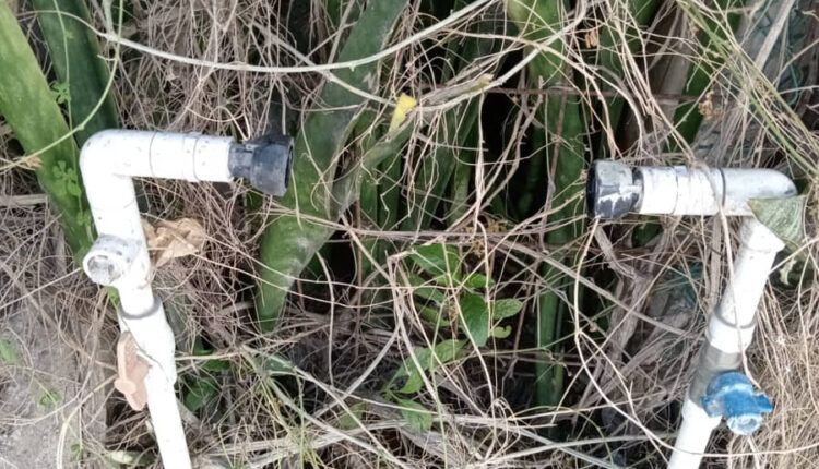 Una más de Aguakán, dejan sin agua a señora de la tercera edad a pesar de tener cubiertos los pagos