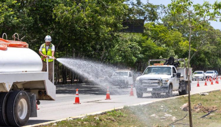 Reforesta Gobierno municipal camellón de la carretera federal