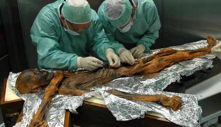 Revelan que el "hombre de las nieves" tenía piel oscura y calvicie