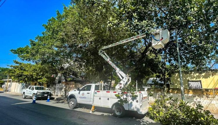 Realizan poda de árboles por temporada de lluvias