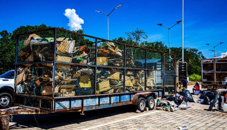 Solidaridad impulsa acciones para preservar el medio ambiente