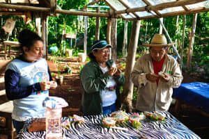 Registra zona Maya incremento de visitantes en verano