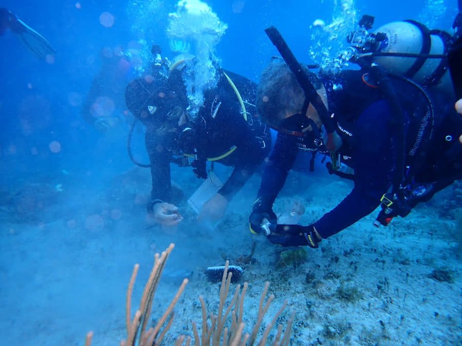 Conforma FPMC brigadas que responderán ante contingencias