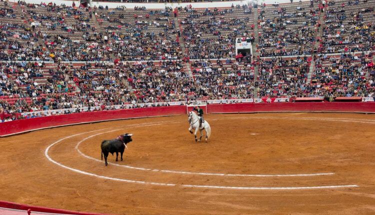 Acepta SCJN atraer amparo contra celebración de corridas de toros