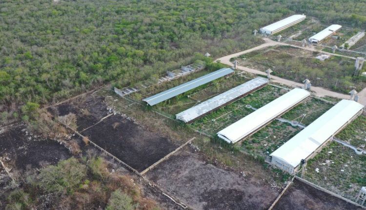 Ejidatarios de Celestún logran Restitución de sus Derechos