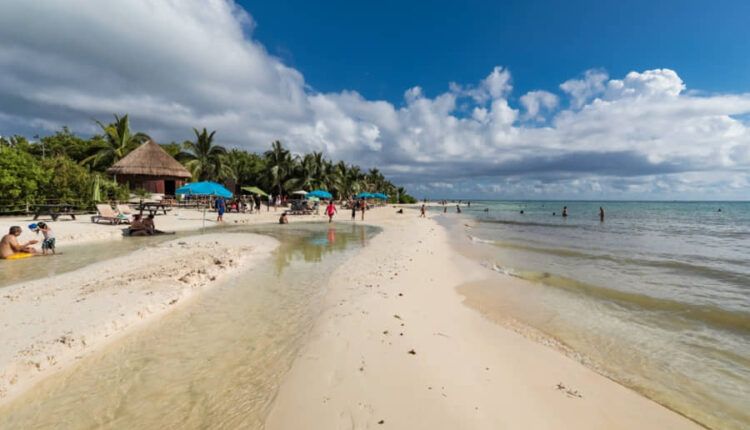 Playa del Carmen refuerza seguridad y combate sargazo ante alta afluencia turística en Semana Santa 2026.