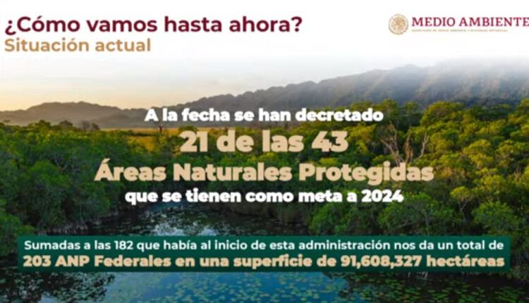 López Obrador busca aumentar la protección de la biodiversidad mexicana