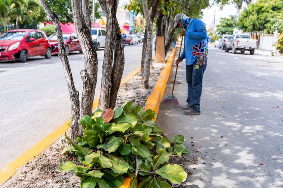 Atención integral para colonias de Solidaridad
