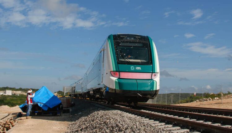 Segunda licitación del Tren Maya para protección de fauna silvestre es declarada desierta
