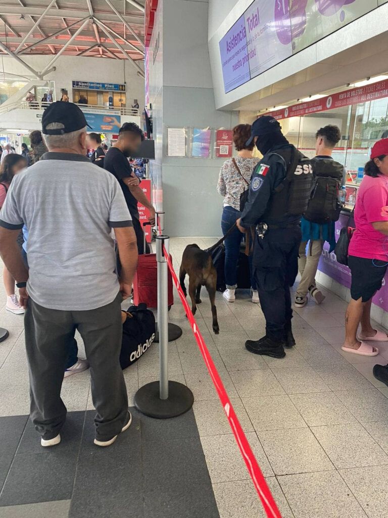 Integrantes de la Unidad Canina realizan inspecciones en busca de narcóticos