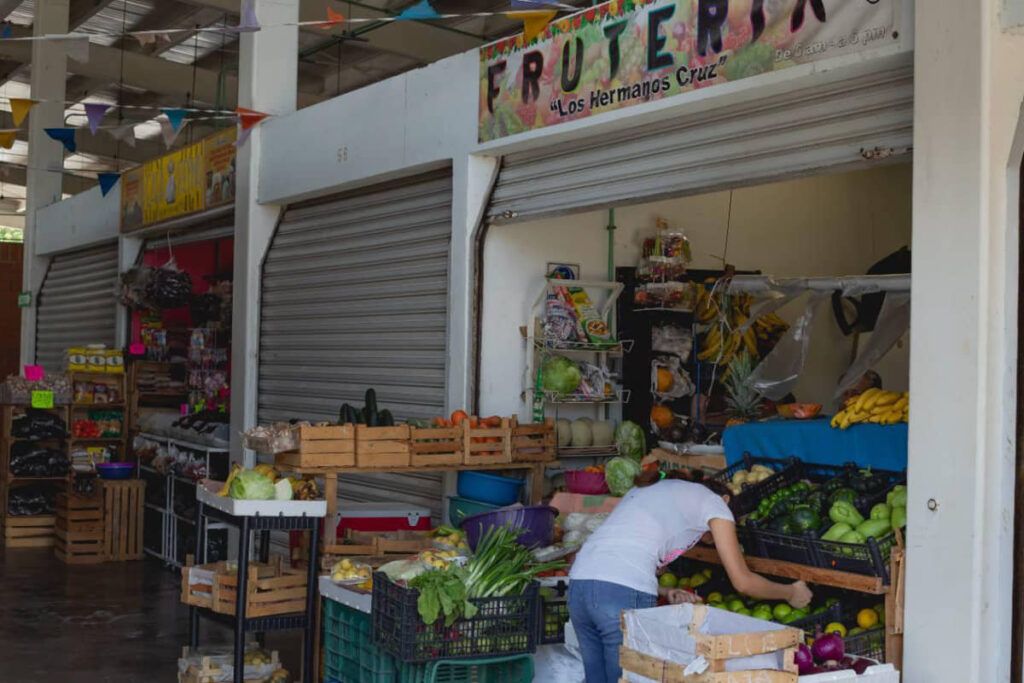 Solidaridad Avanza: reconocimientos, sostenibilidad y atención médica