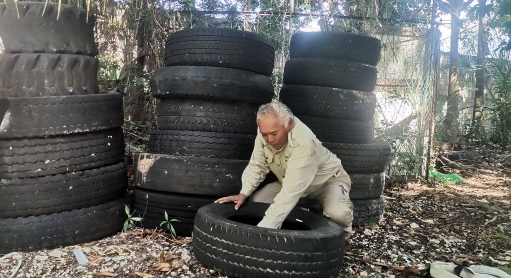 Invita SESA aplicar estrategia de patio limpio en las viviendas