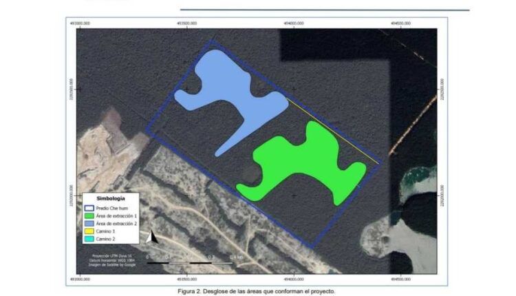 Consulta pública abierta para proyecto minero en Playa del Carmen