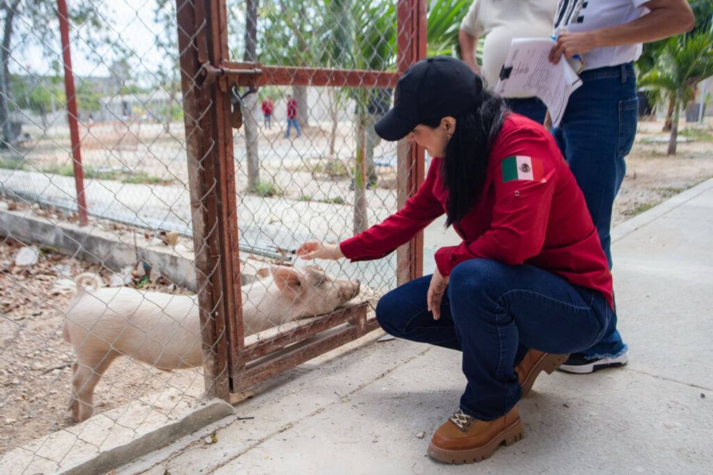 Con Estefanía Mercado al frente, Playa del Carmen está a un paso de hacer historia con su primera clínica gratuita para animales