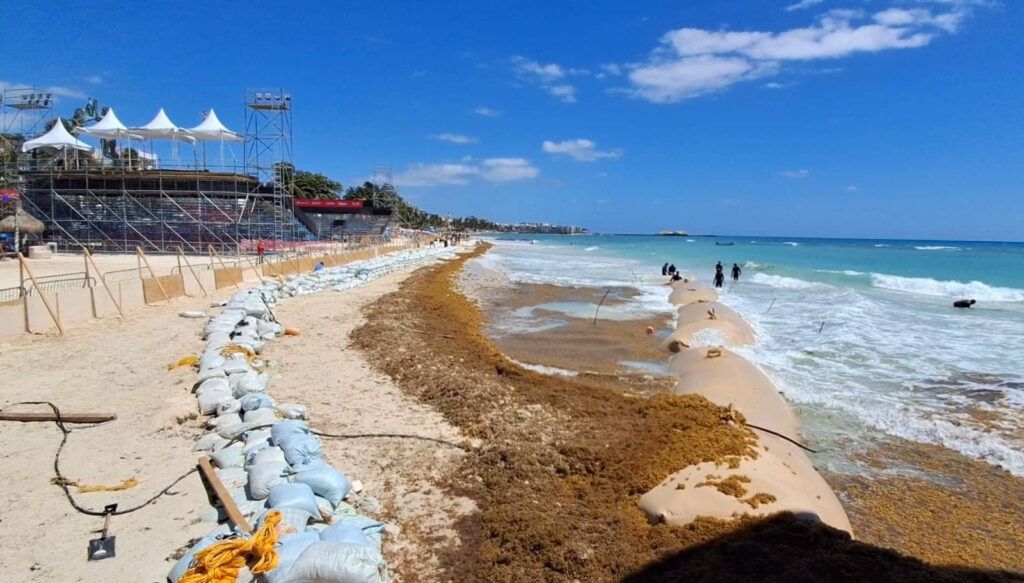 Profepa clausura obras en Playa Fundadores por falta de autorización ambiental