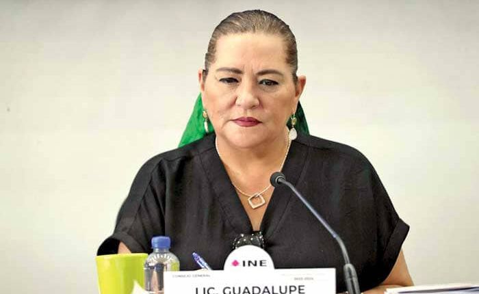 INE no es responsable de baja participación en elección judicial: Taddei