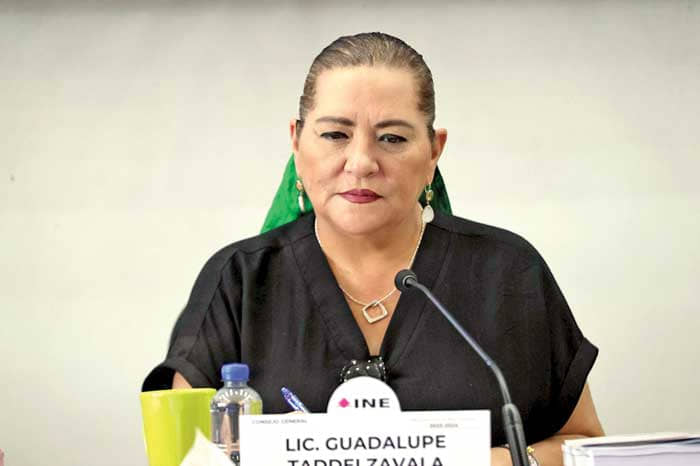 INE no es responsable de baja participación en elección judicial: Taddei