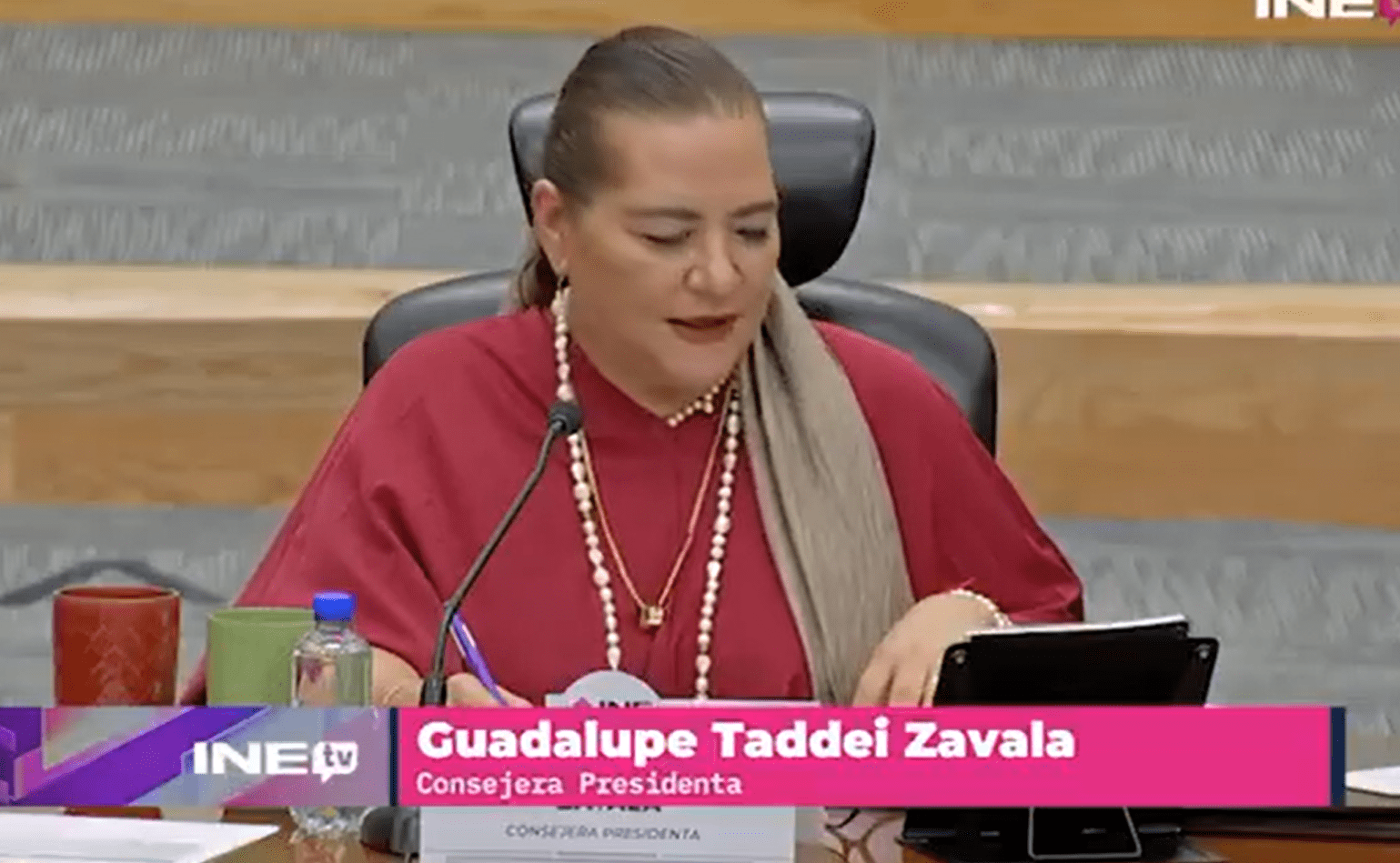 Taddei defiende al INE ante críticas por irregularidades en comicios