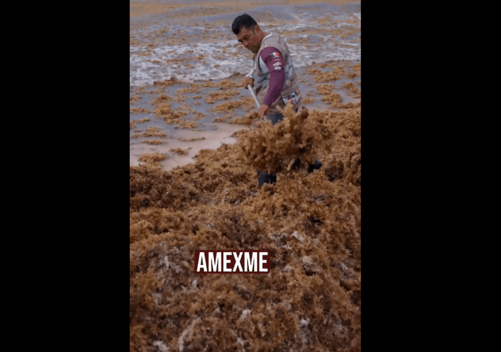 Municipio presenta la iniciativa al “Reto Sargazo”