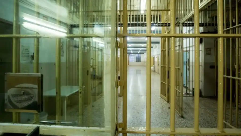 De las redes sociales a la cárcel: la caída de Cristian L. F., un cabecilla neonazi