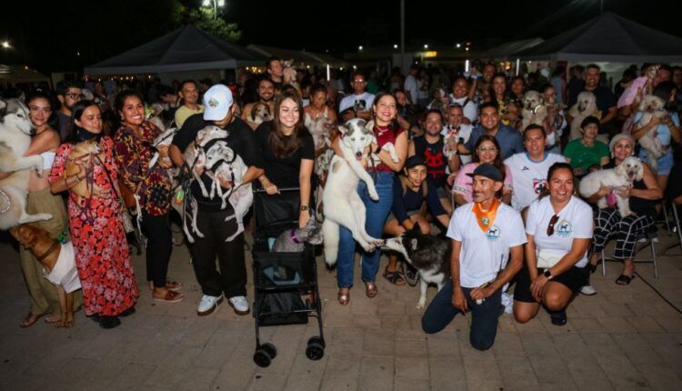 Gobierno de Playa del Carmen celebra con éxito la primera edición del "Dog Beach Festival"