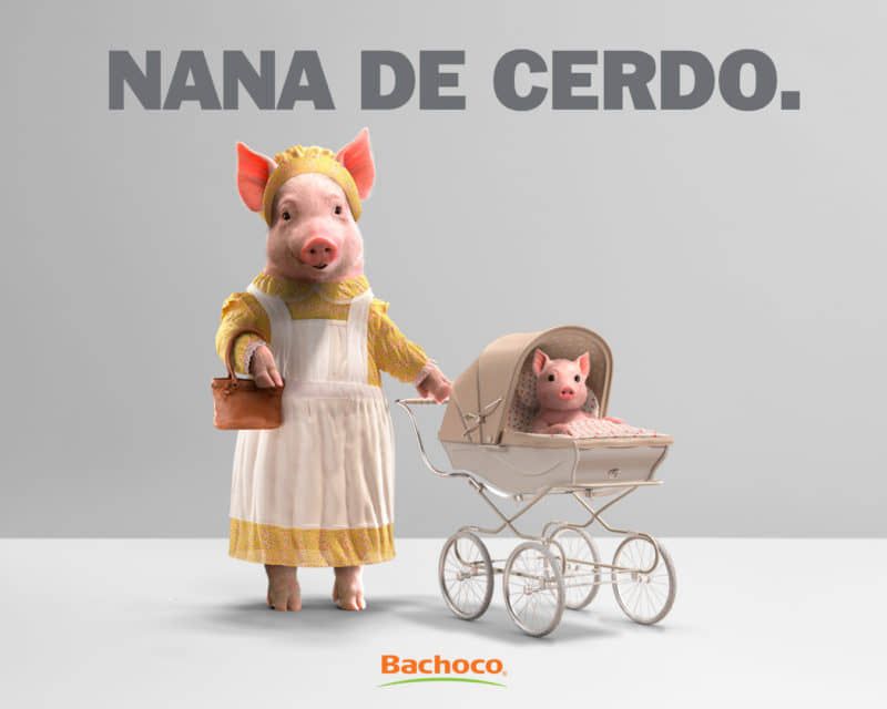 “El trabajo en Bachoco es el peor que he tenido”, denuncia ex empleado en entrevista con GenV