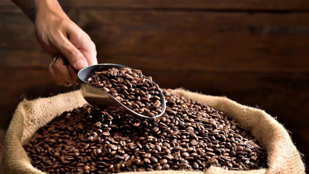 Un marco legal para el futuro del café mexicano: aprueban ley de desarrollo sustentable