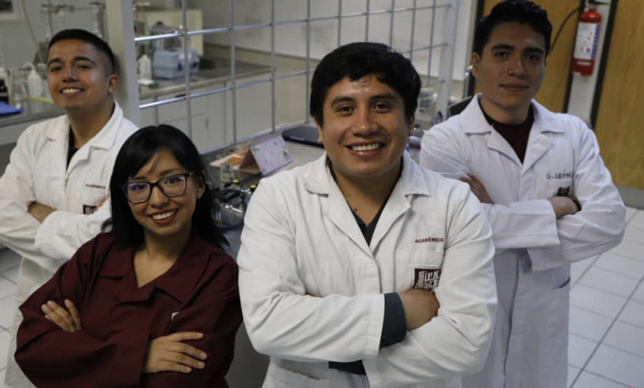 El sargazo mexicano se convierte en un aliado para descontaminar el agua