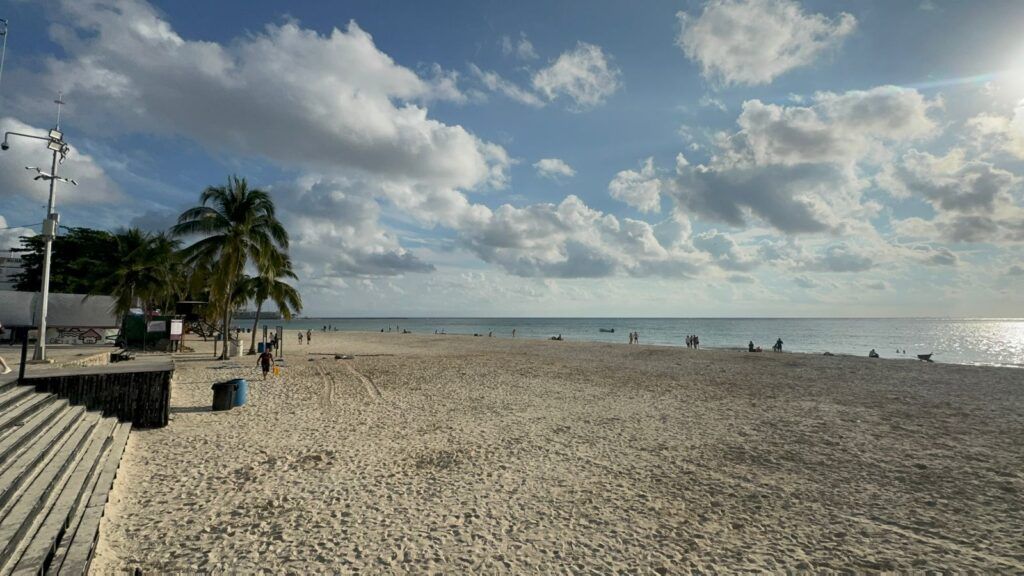 Refuerza Playa del Carmen estrategia anti sargazo para 2026