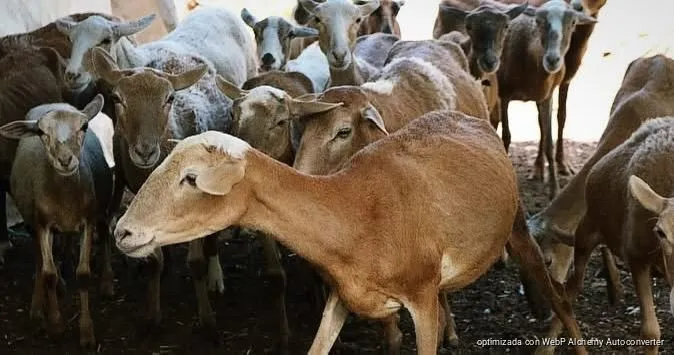 para que la riqueza turística se traduzca en bienestar para todas y todos