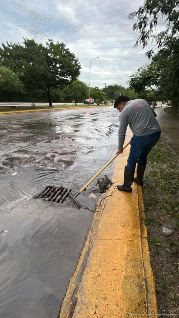 Gobierno de Estefanía Mercado activa “Operativo Tormenta” y ejecuta acciones preventivas y de recuperación tras lluvias en Playa del Carmen