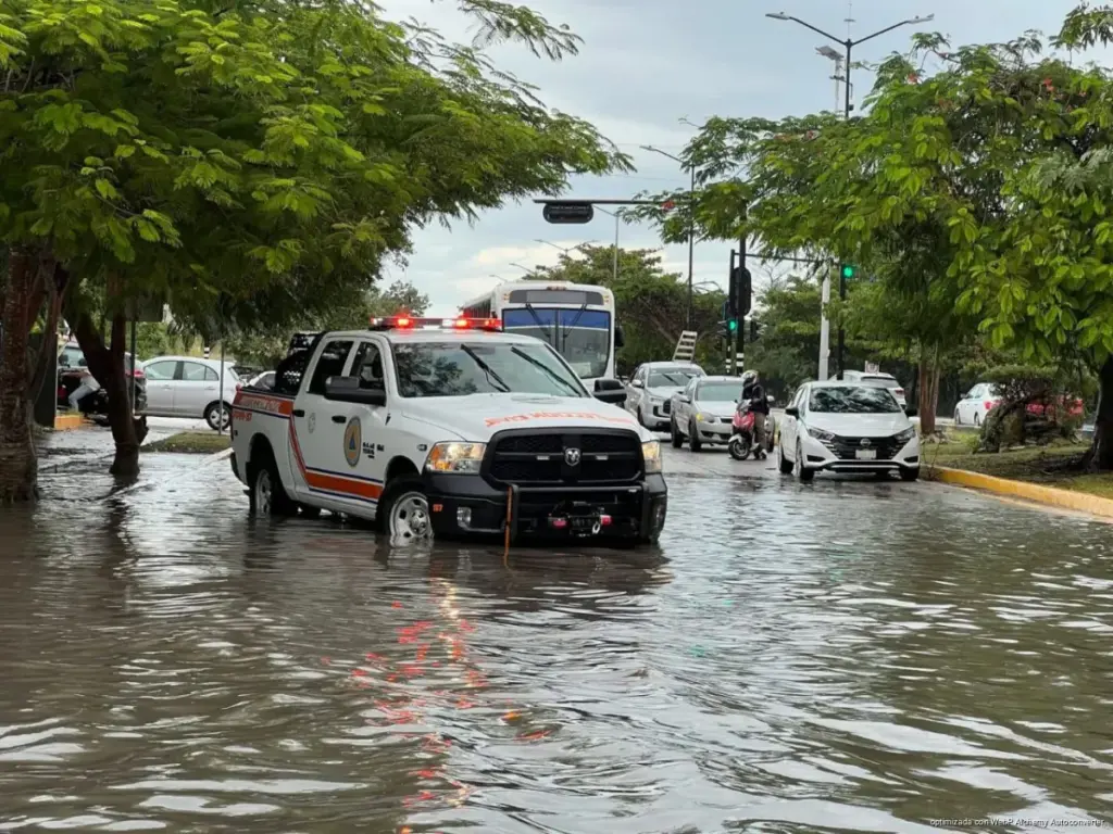 Gobierno de Estefanía Mercado activa “Operativo Tormenta” y ejecuta acciones preventivas y de recuperación tras lluvias en Playa del Carmen