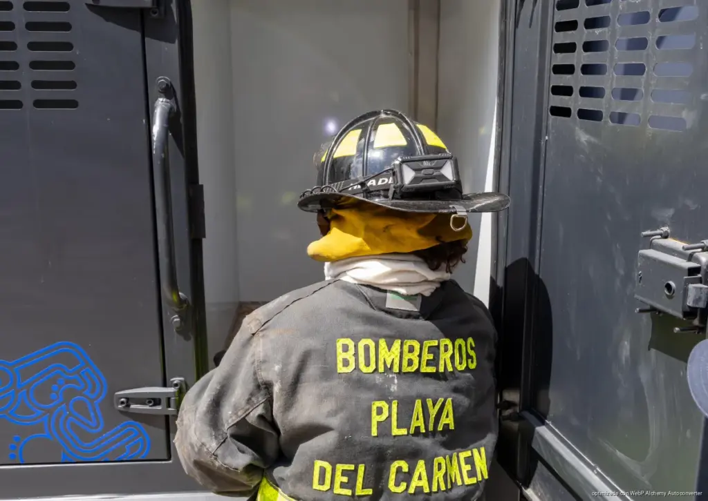 Encabeza Estefanía Mercado rescate emergente y abre expediente por abandono de cuatro “lomitos”