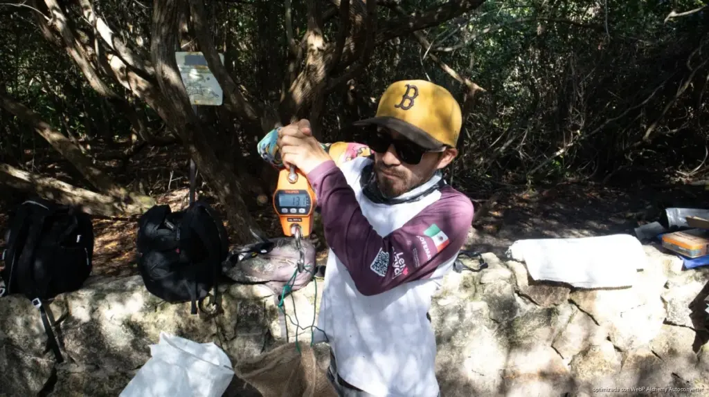 Gobierno municipal refuerza el cuidado ambiental con jornadas de limpieza en el cenote y manglar de Punta Esmeralda