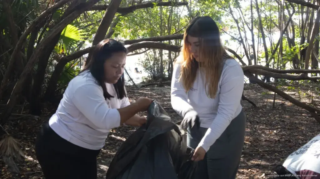 Gobierno municipal refuerza el cuidado ambiental con jornadas de limpieza en el cenote y manglar de Punta Esmeralda