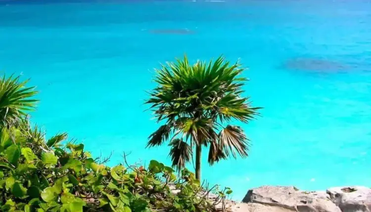 Clima caluroso y cielo despejado predominan este 28 de abril en Quintana Roo