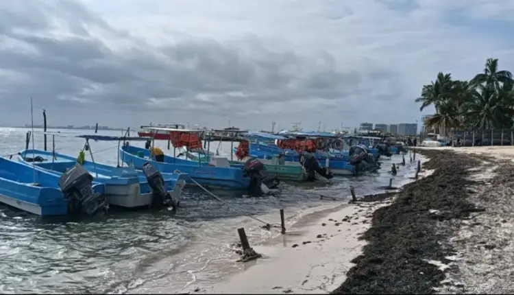 Cierres de puerto reducen hasta 30% la operación náutica en Quintana Roo en 2026