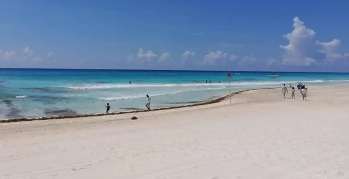 Sargazo impacta costas de Quintana Roo con intensidad variable; islas y zonas resguardadas mantienen mejores condiciones