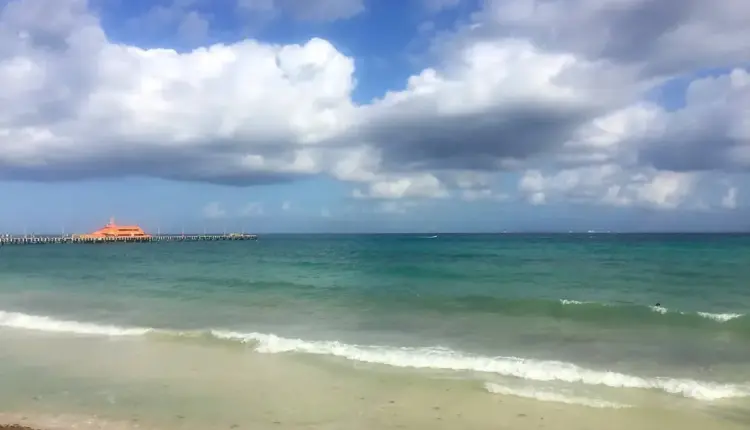 Arribos de sargazo se intensifican en la Riviera Maya mientras el norte de Quintana Roo se mantiene estable