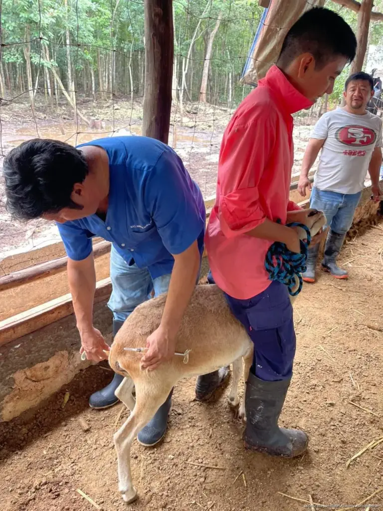 Gobierno de Estefanía Mercado lleva el programa “Veterinario en tu Rancho” a comunidades rurales