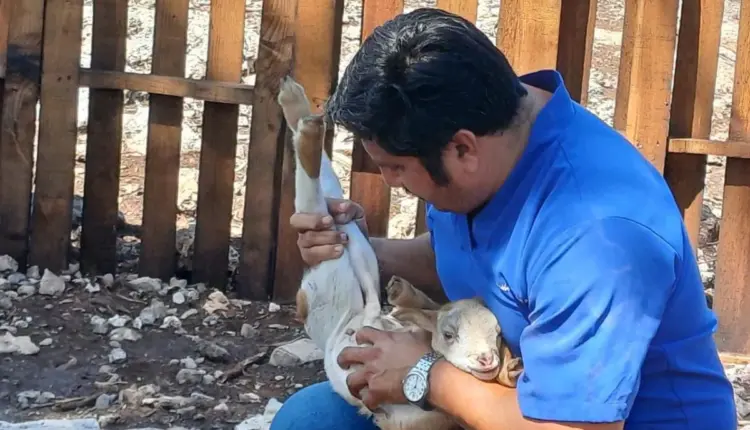 Gobierno de Estefanía Mercado lleva el programa “Veterinario en tu Rancho” a comunidades rurales