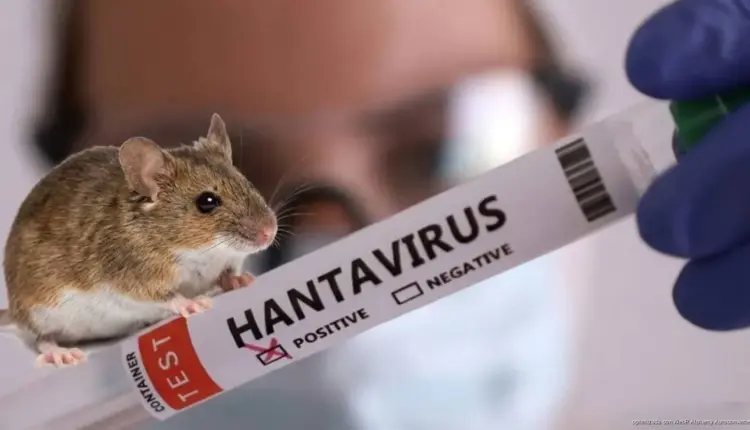 México activa vigilancia por brote internacional de hantavirus ligado a crucero en el Atlántico
