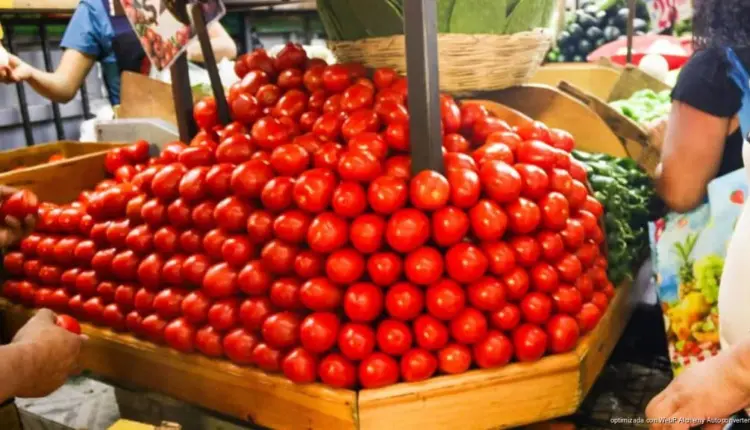 Aranceles de Trump elevan precios del jitomate y golpean exportaciones mexicanas