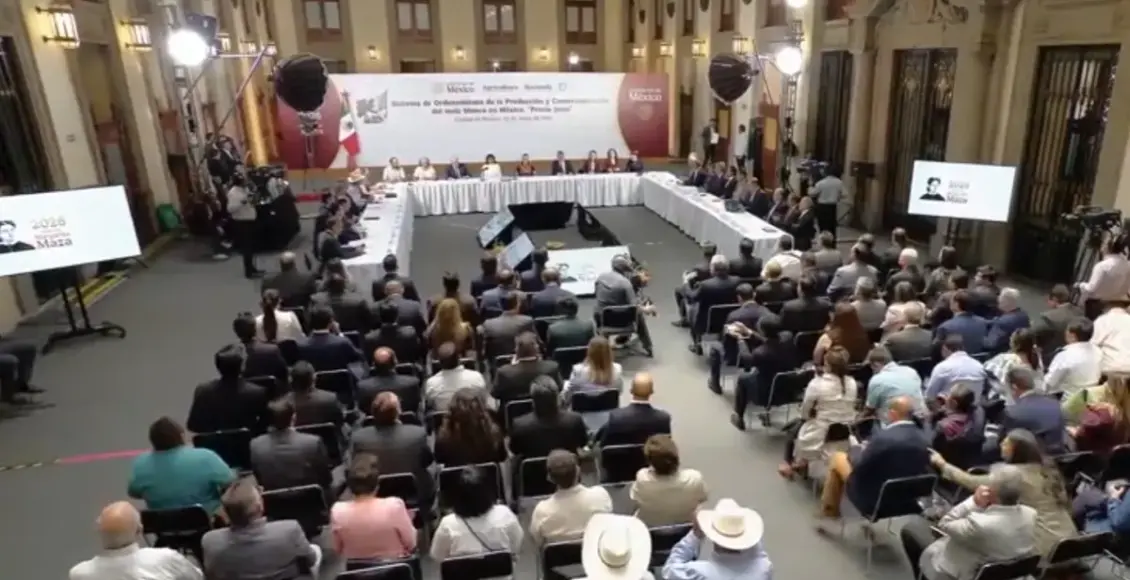 Gobierno acuerda con productores esquema para regular mercado del maíz blanco